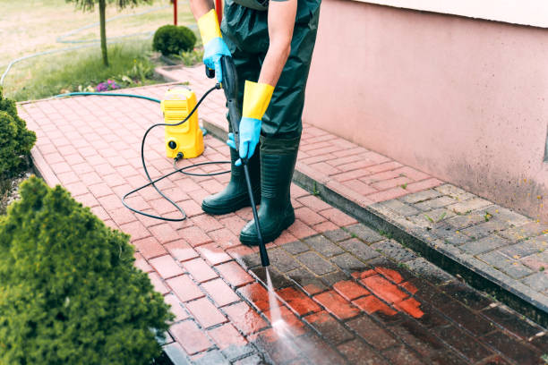 Best Deck Cleaning Services  in Fox River Grove, IL