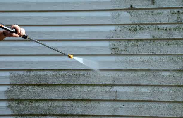 Best Garage Pressure Washing  in Fox River Grove, IL